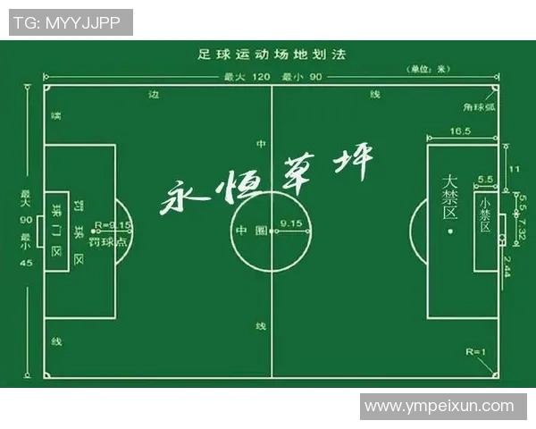 掌握足球横移步技巧提升场上灵活性与防守能力的全面指南