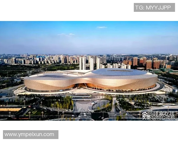 成都足球场的魅力探索与发展历程分析